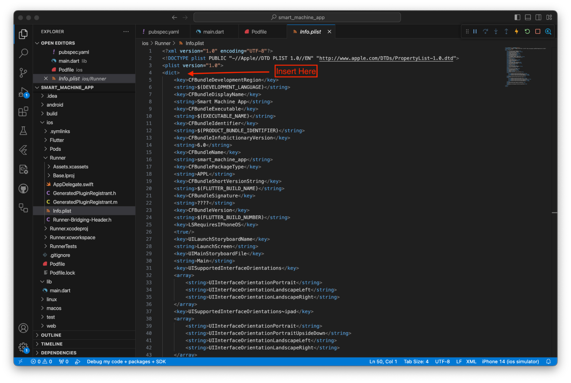 The info.plist file open in VS Code. An arrow labeled 'insert here' indicates that you should insert the code right after the fourth line in the file.